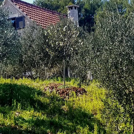 The Fabris - Country * Lumbarda
