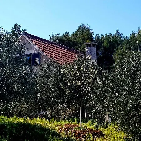 Villa The Fabris - Country *
